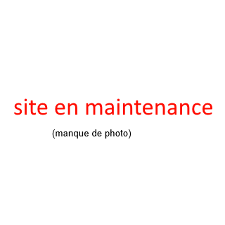 couture sur une chaussure